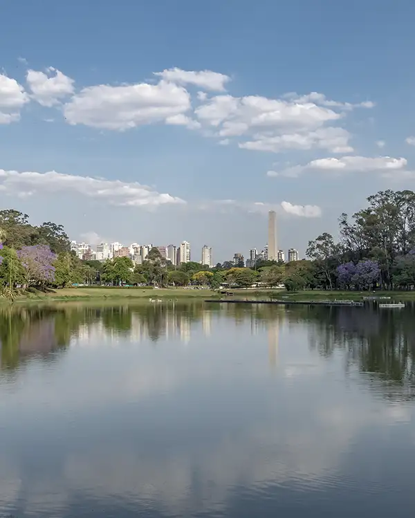 imagem da região